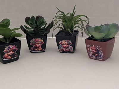 Faux Succulent Plants
