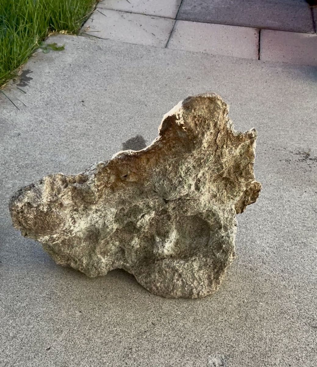 Main image 6