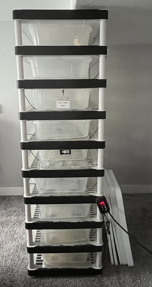 Large Snake Rack (9 Slots & Heated)