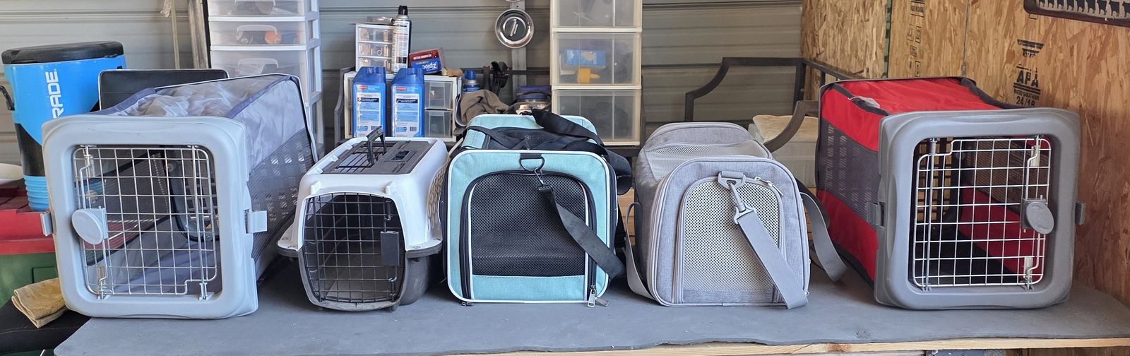 Small Pet Carrier Various Types All Nice No Damage Choice