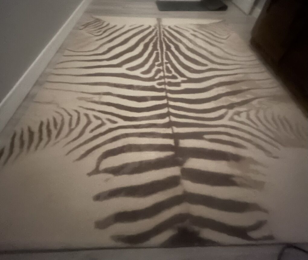 8x10 Zebra Rug