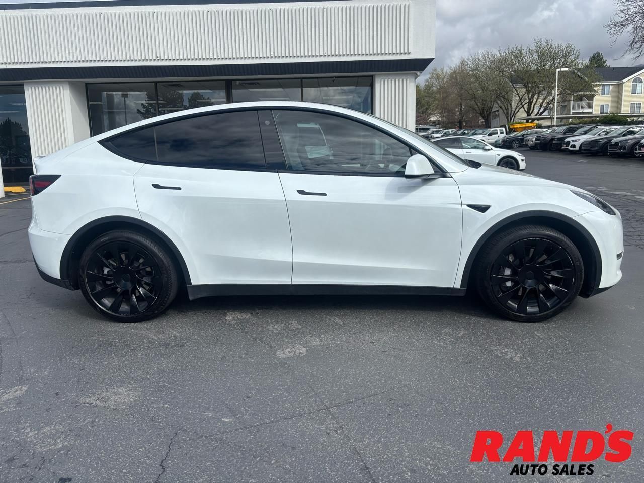 2023 Tesla Model Y Long Range