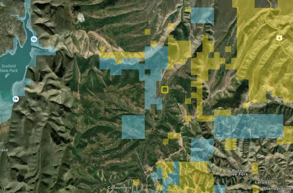 Main image 45