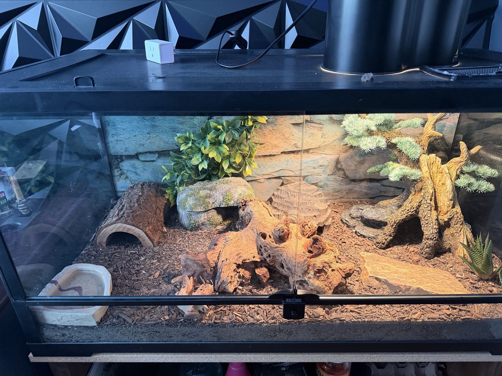 40 Gallon lizard cage