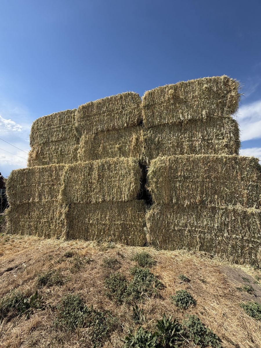 Premium 3-way hay