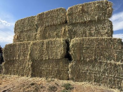 Premium 3-way hay