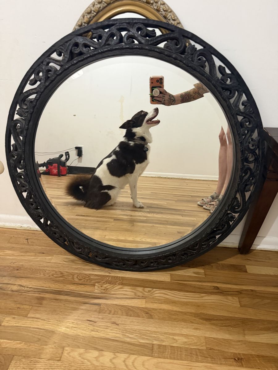 Large Ornate Round Black Wall Mirror with Carved Frame
