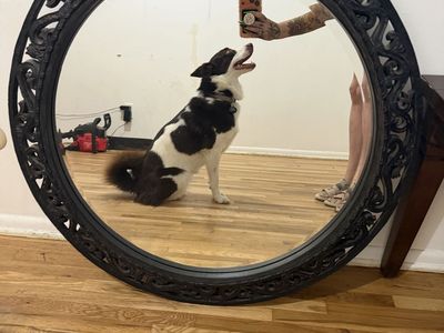 Large Ornate Round Black Wall Mirror with Carved Frame