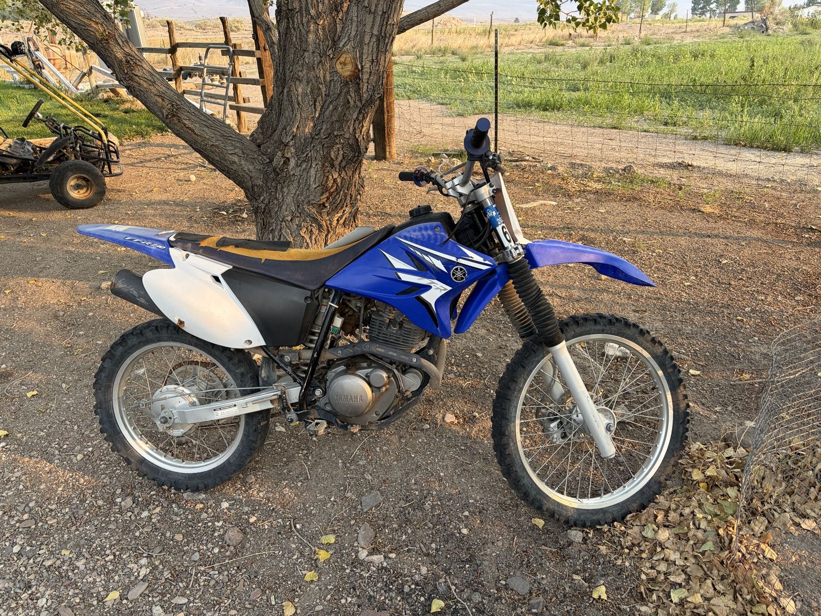 TTR 230