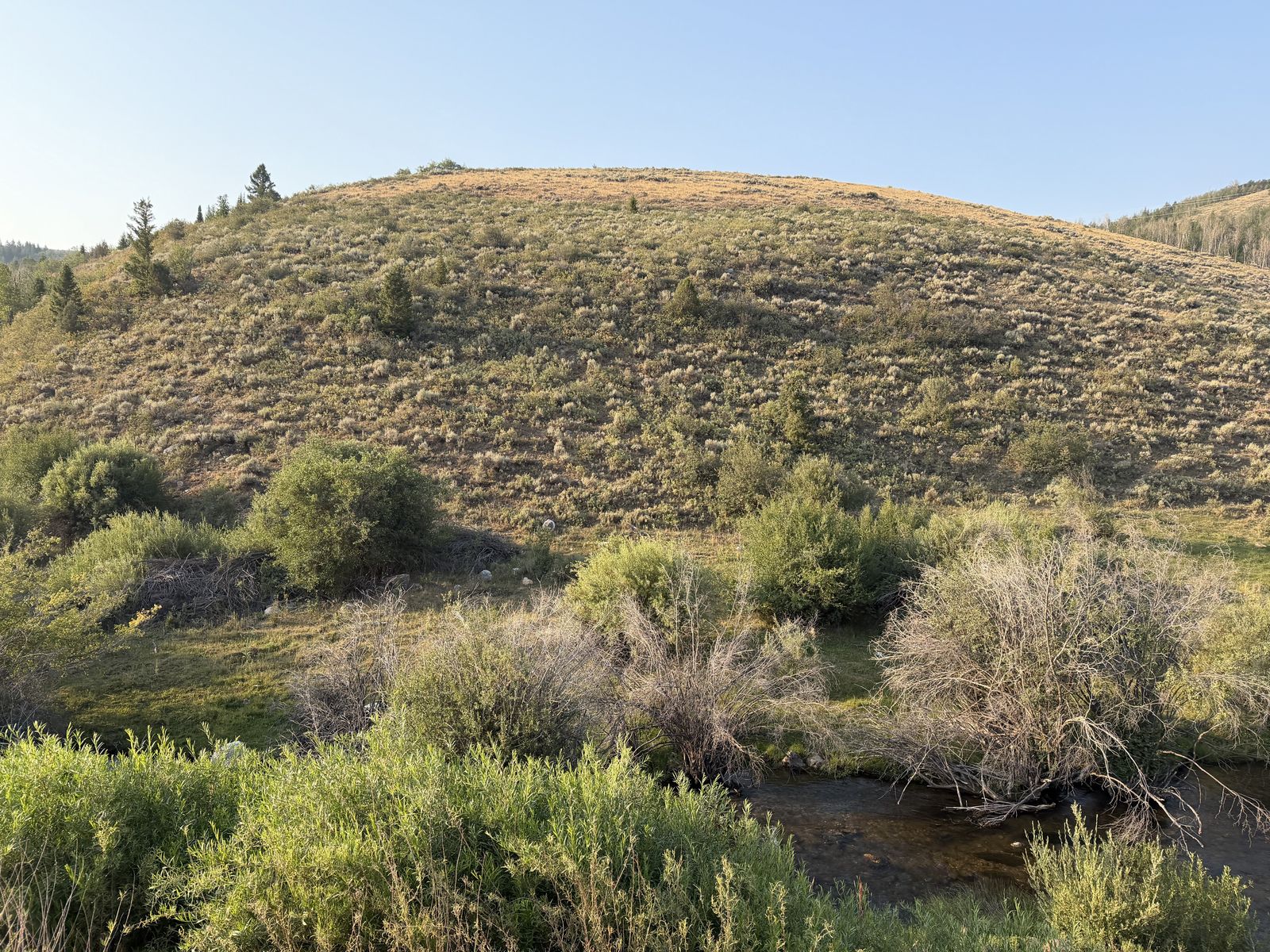 Main image 5