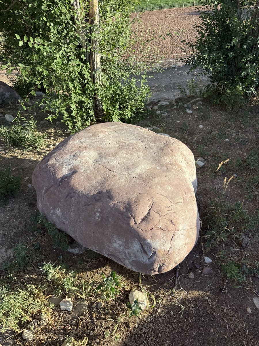 Main image 4