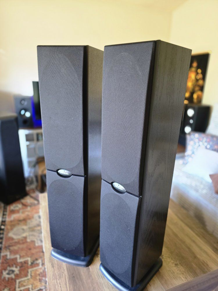 Polk Audio RT800i Floor-Standing Speakers (Pair) - Excellent Condition, Black Wood Finish