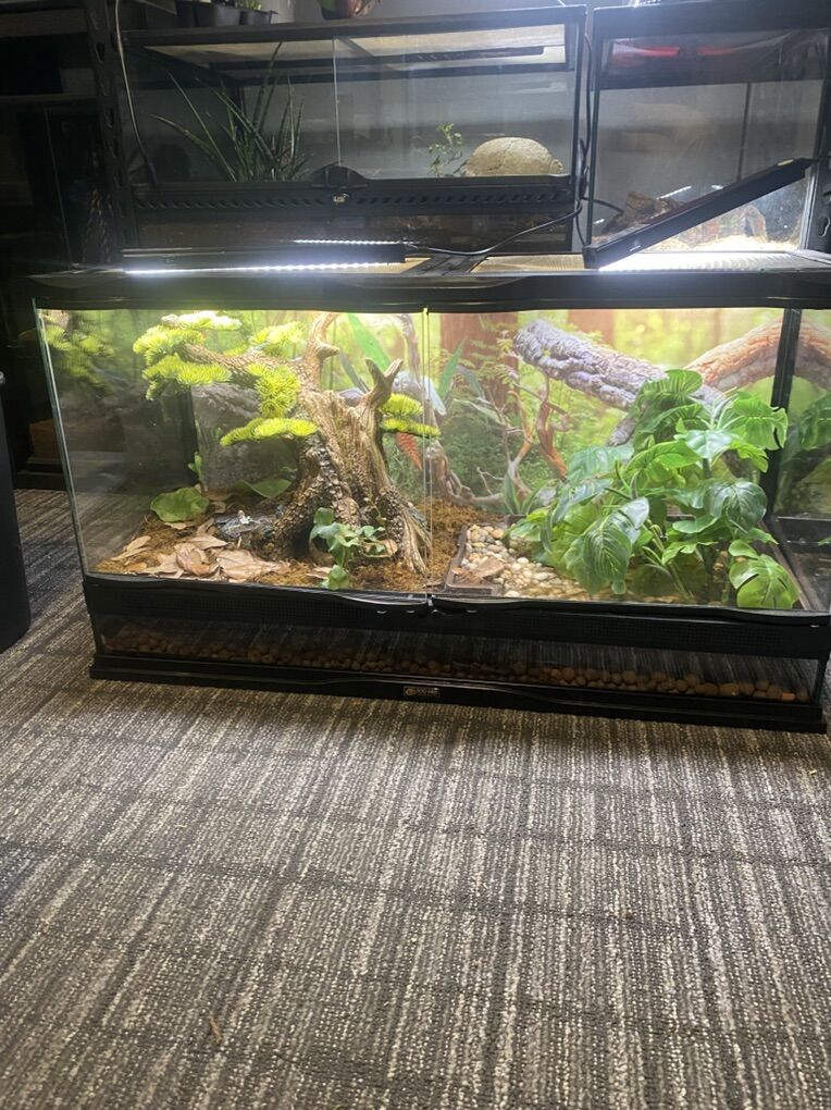 25 gal bio Terrarium