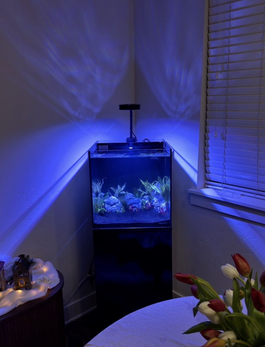 25 gal tank with over the back sump rimless