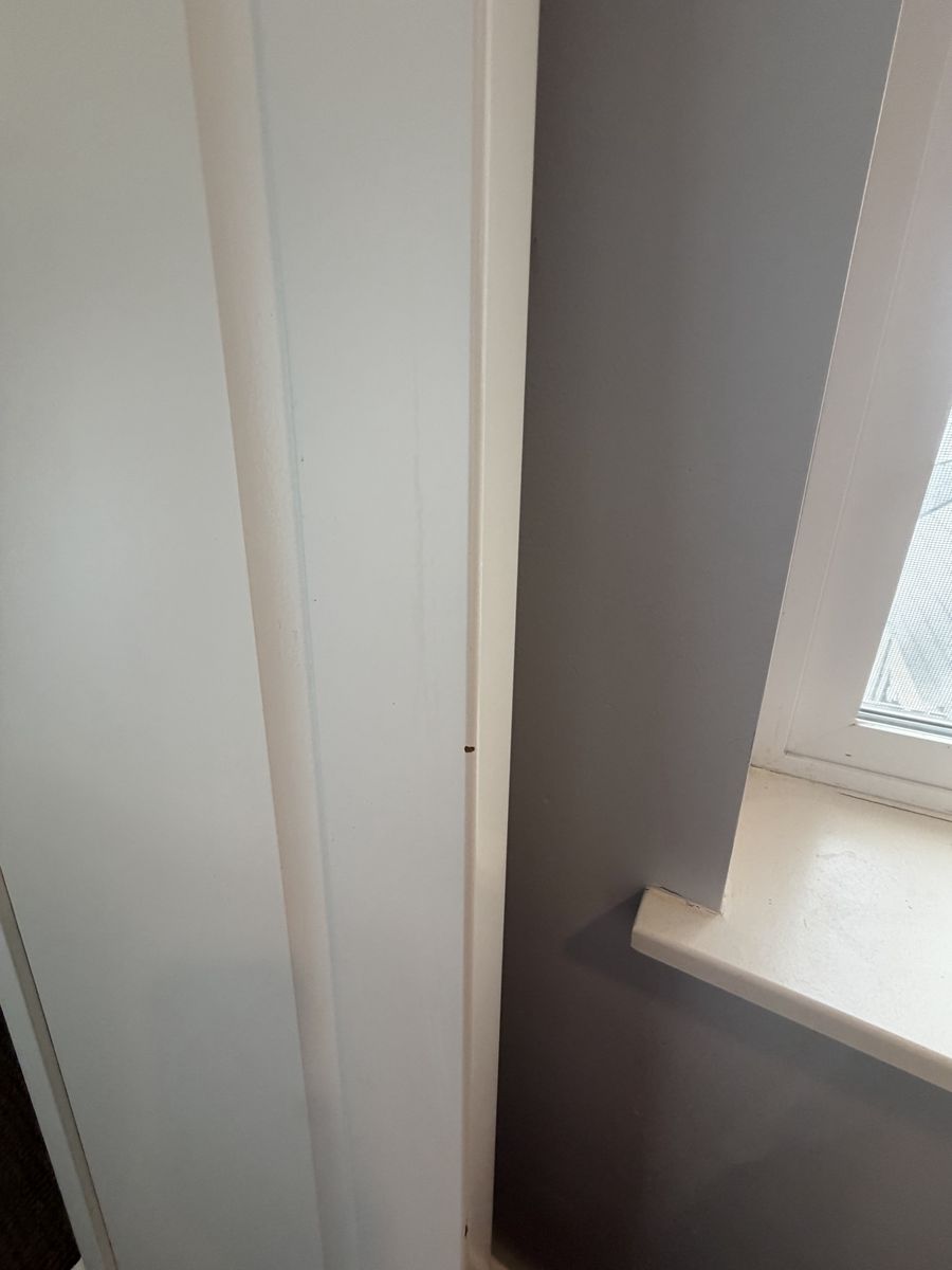 Main image 6