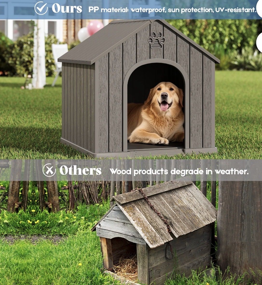 Main image 4