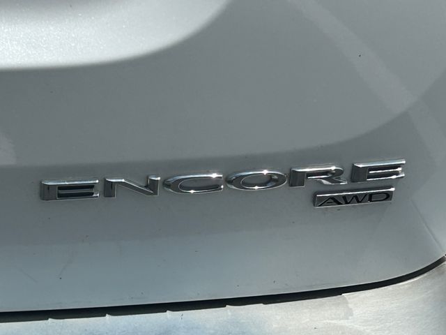 Main image 5