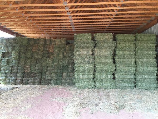 ** Alfalfa/Grass Mix Hay – High Protein – High Altitude Grown – No Rain **
