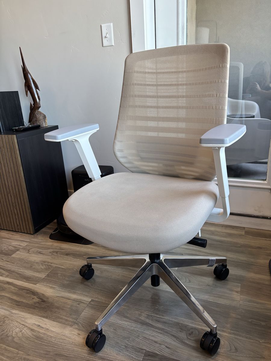 Branch Ergonomic Office Chair