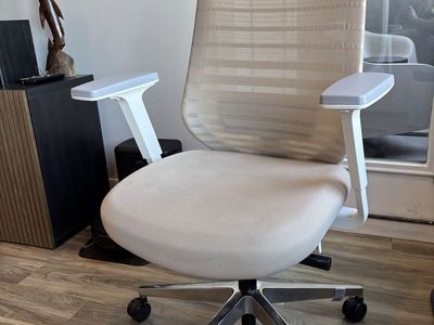 Branch Ergonomic Office Chair