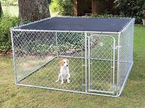 5x5 Dog Kennel