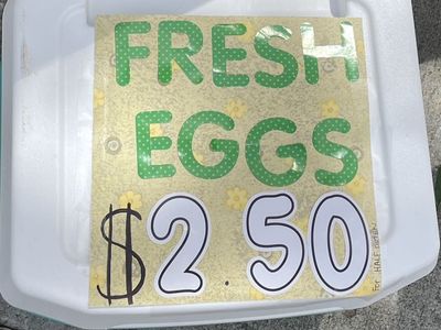 FRESH EGGS!!