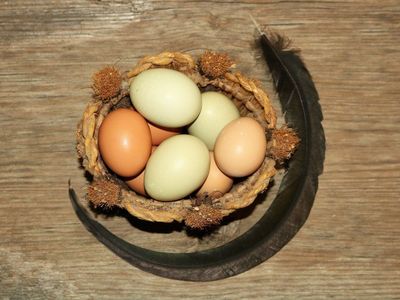 Farm Fresh Eggs