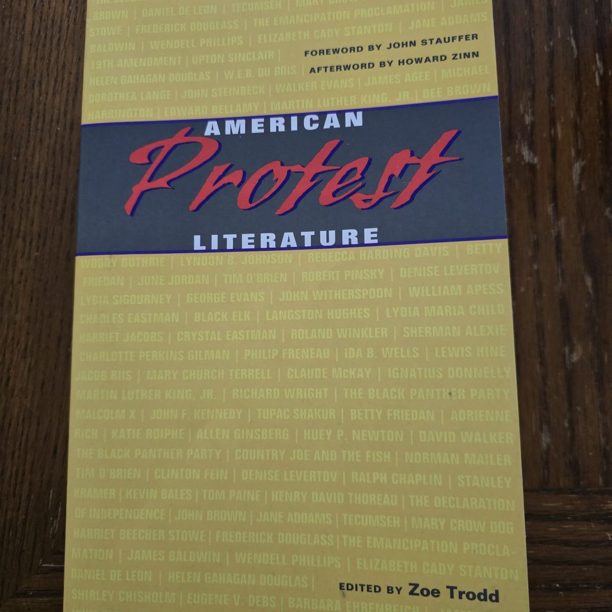 American Protest Literature - Textbook Paperback
