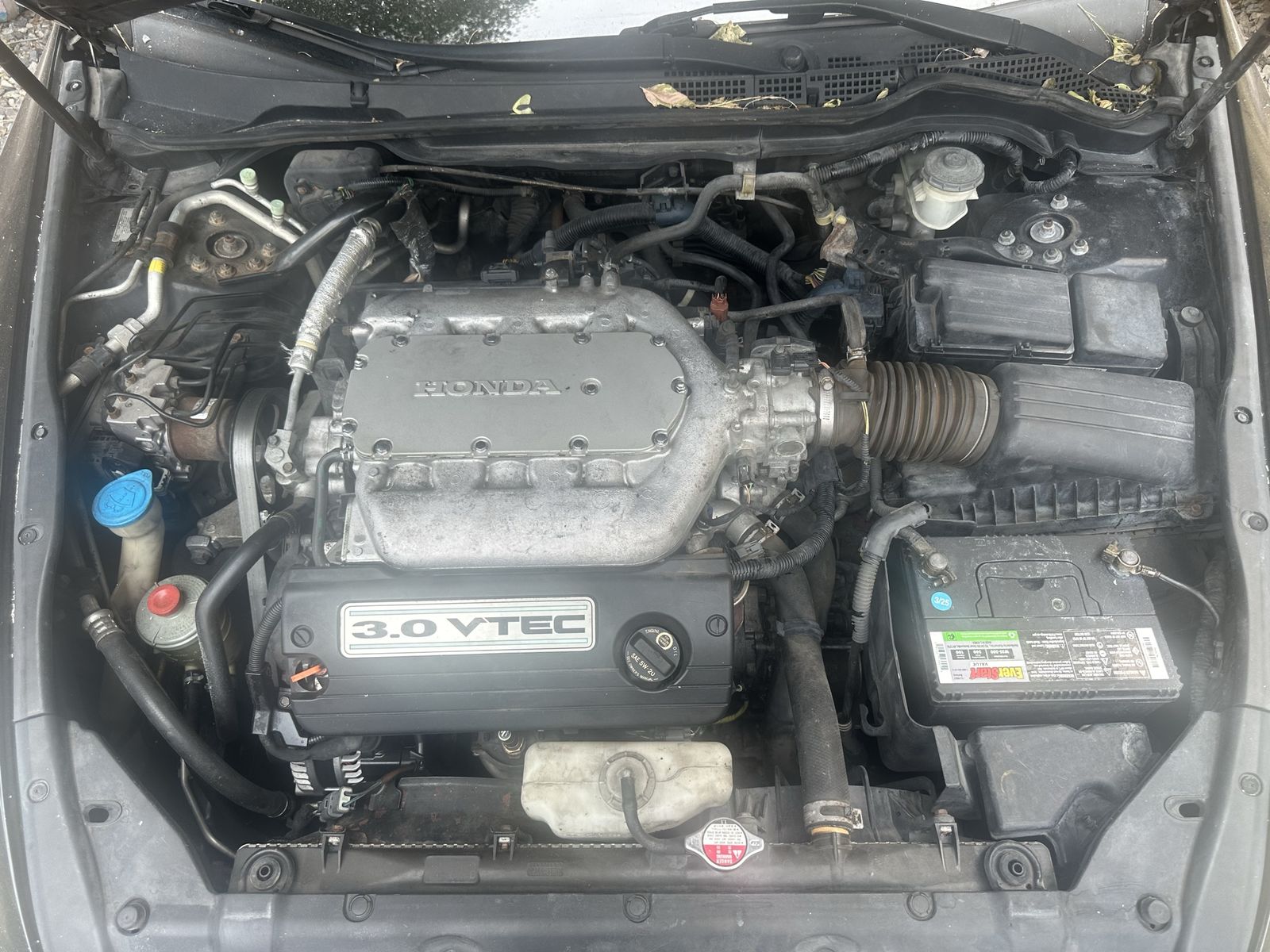 Main image 7