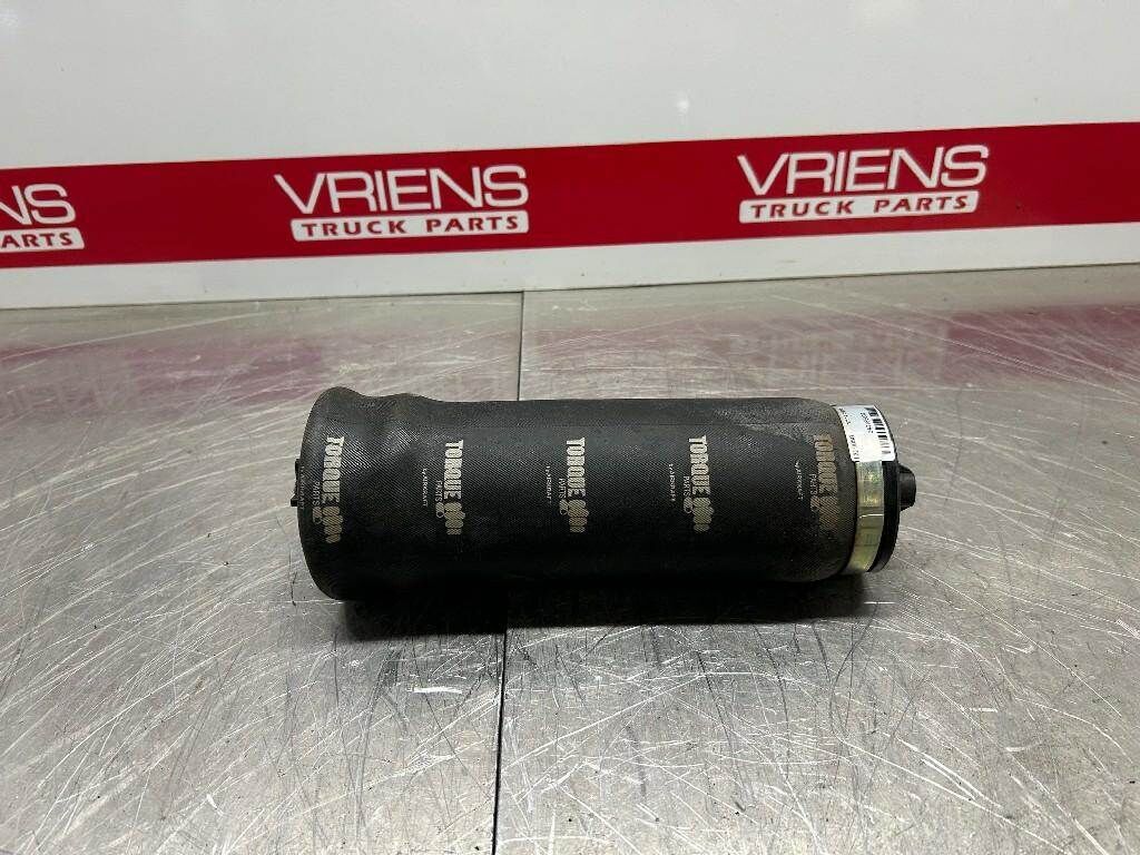 Freightliner Air Bag