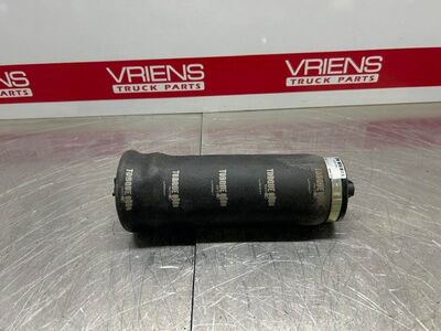 Freightliner Air Bag