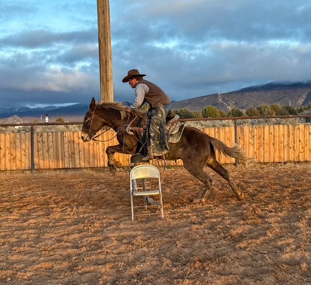 LUNA 9 YEAR OLD MOLLY SHE WILL DO IT ALL