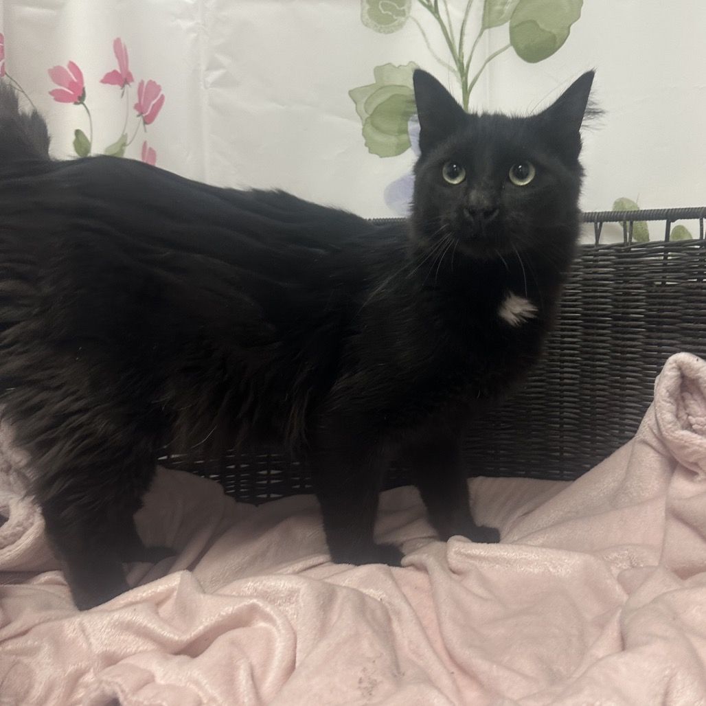 Hello my name is Jean-Luc