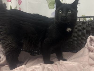 Hello my name is Jean-Luc