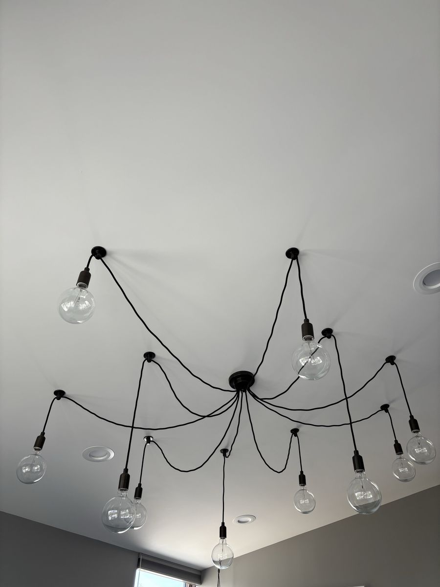 Pottery Barn 10 bulb adjustable chandelier