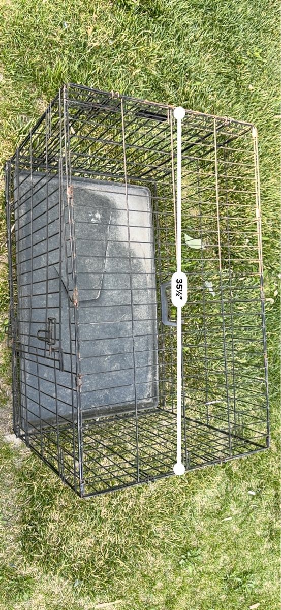 Main image 5
