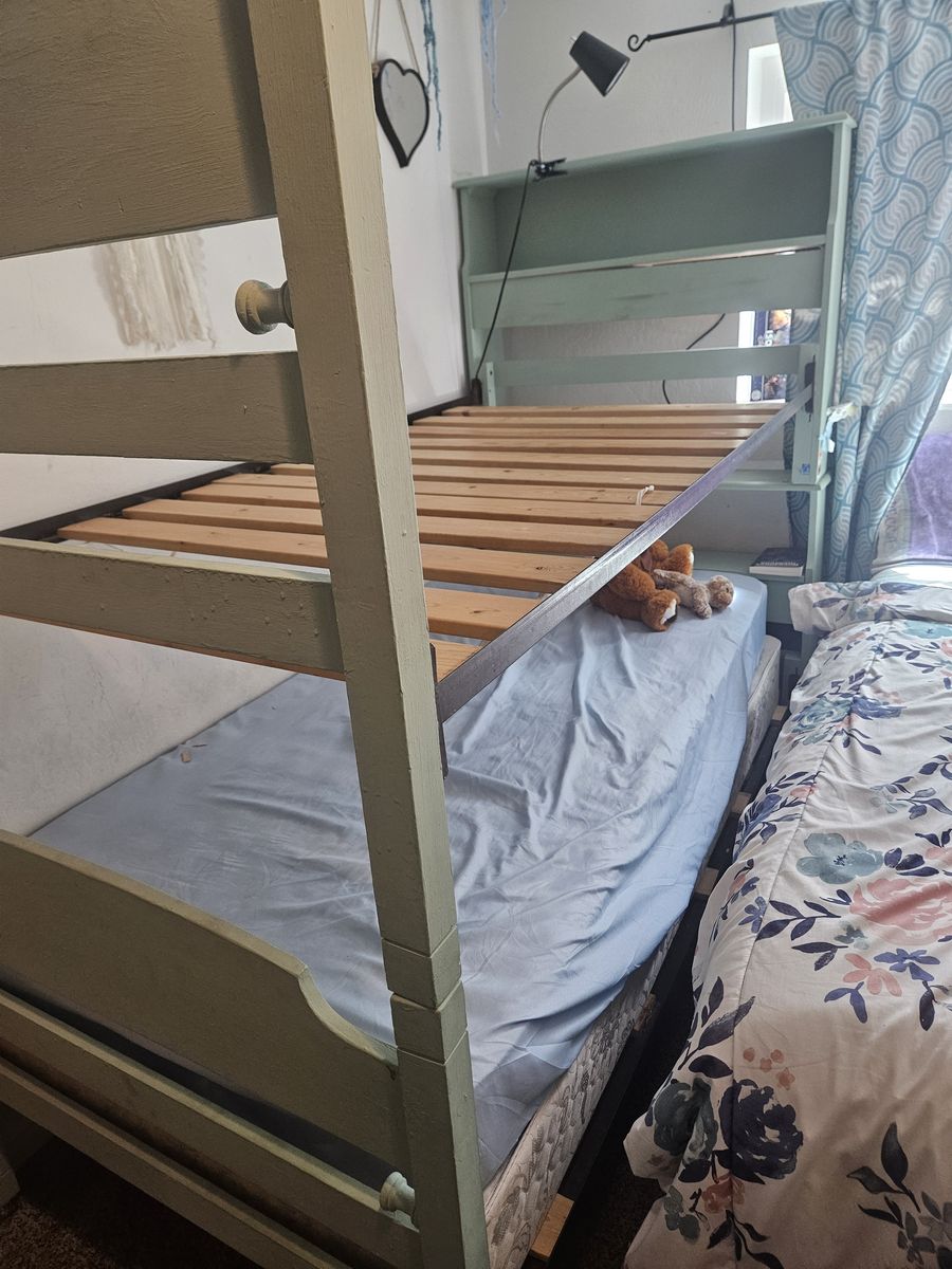 Teal bunk beds
