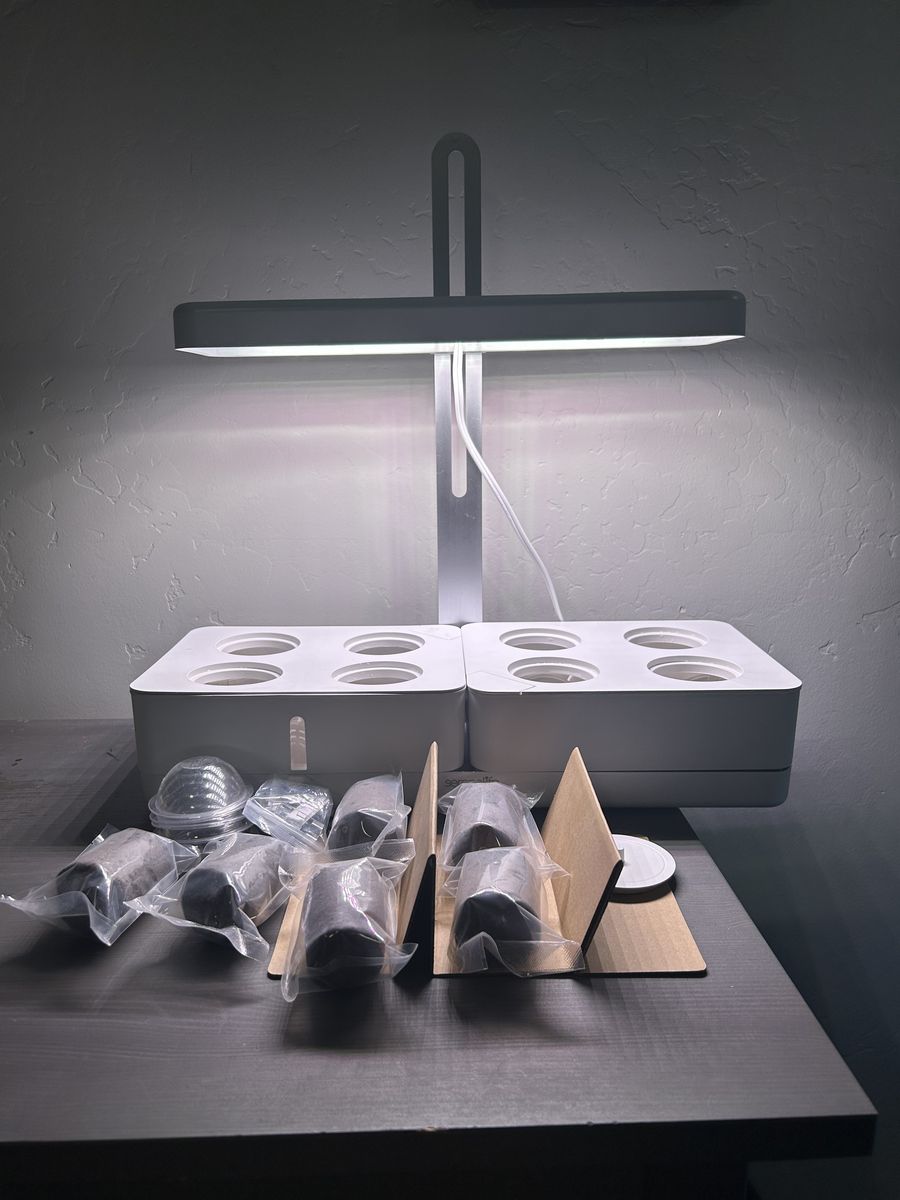 Indoor Platonic Garden