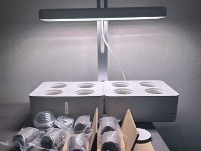 Indoor Platonic Garden