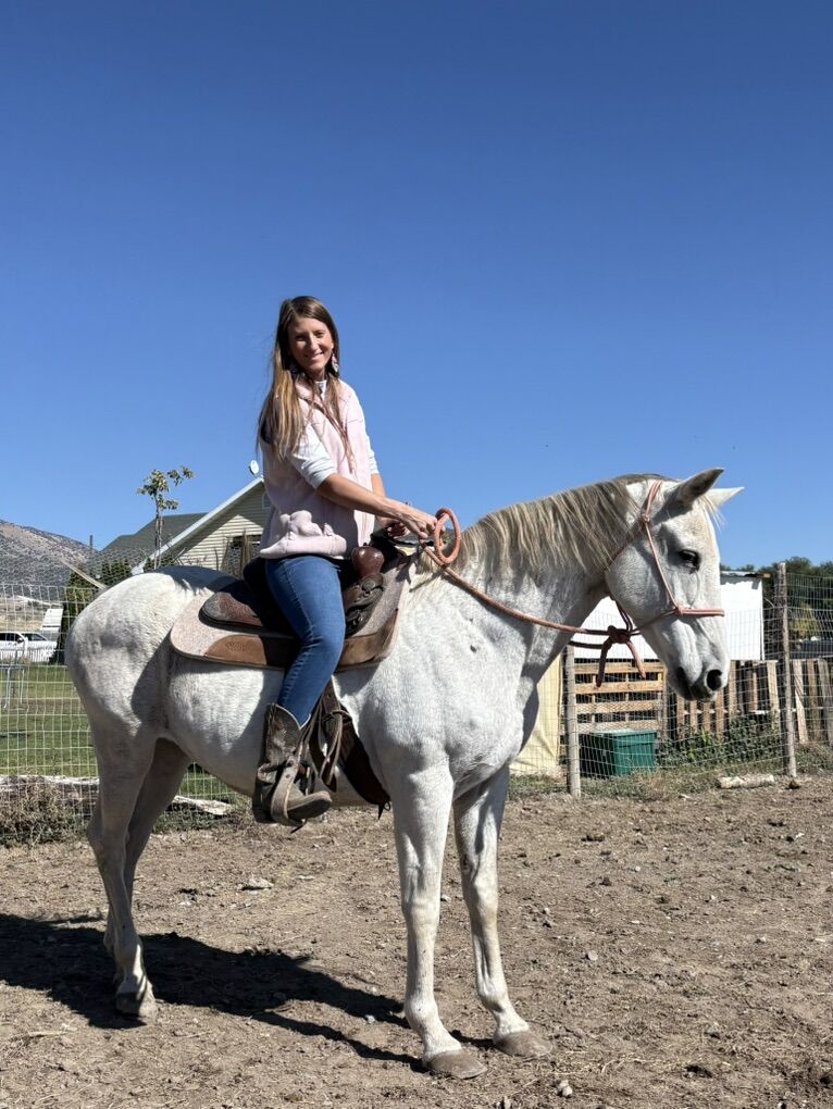 Iso stable Job With Horses