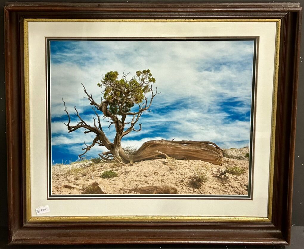 Desert landscape Photo Old Tree Frame Vintge