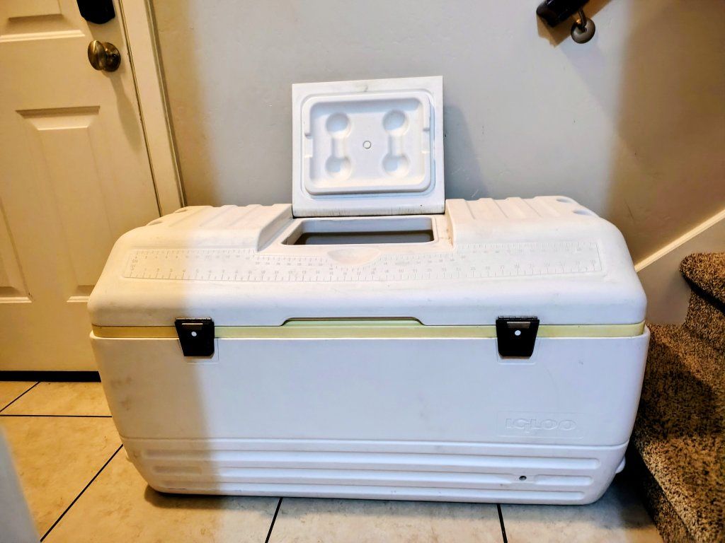 Igloo MaxCold Cooler 165 qt - CASH