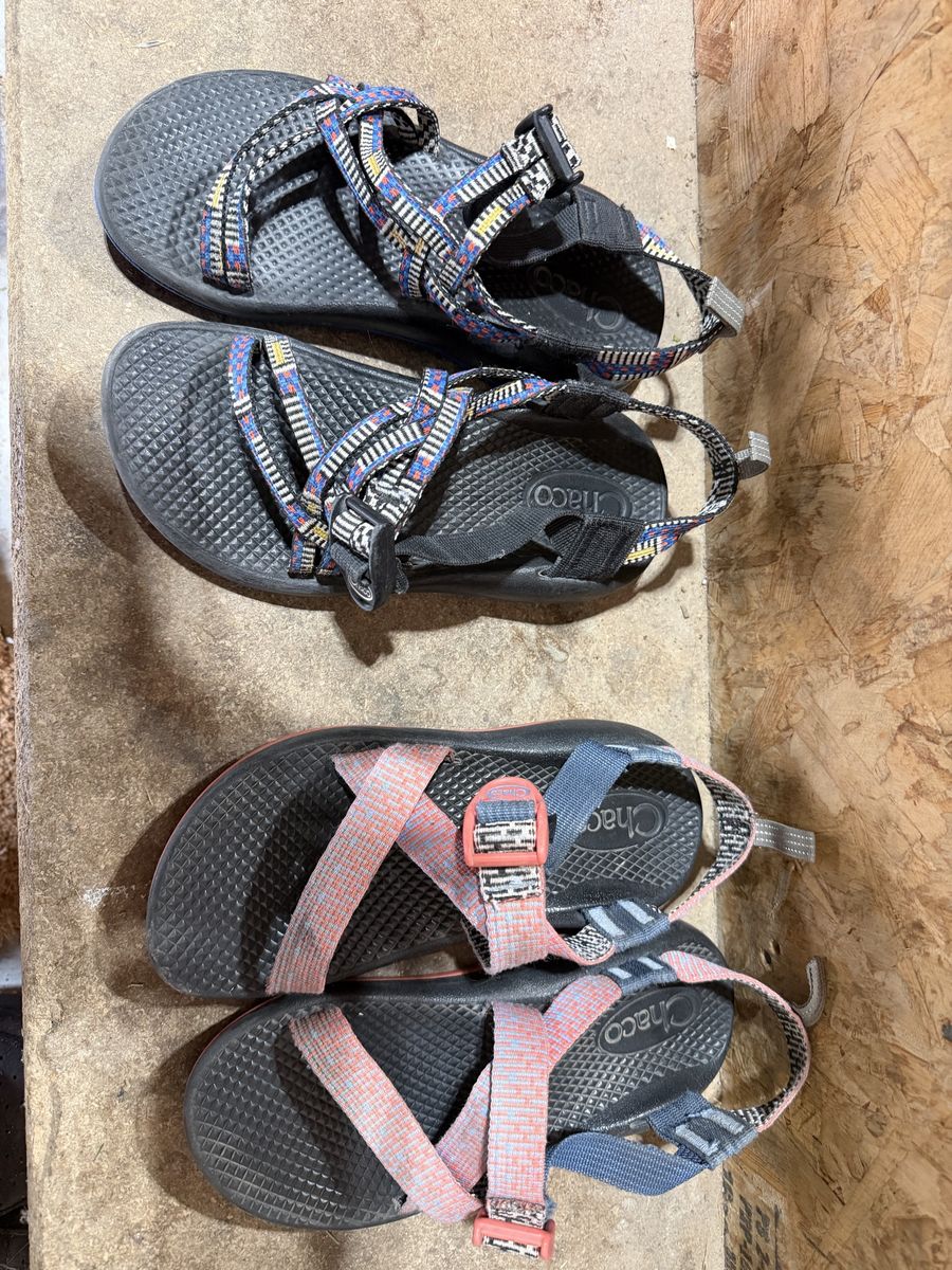 Youth Chaco