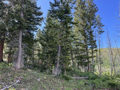 Beautiful lot in Spring Canyon ranches Wyoming