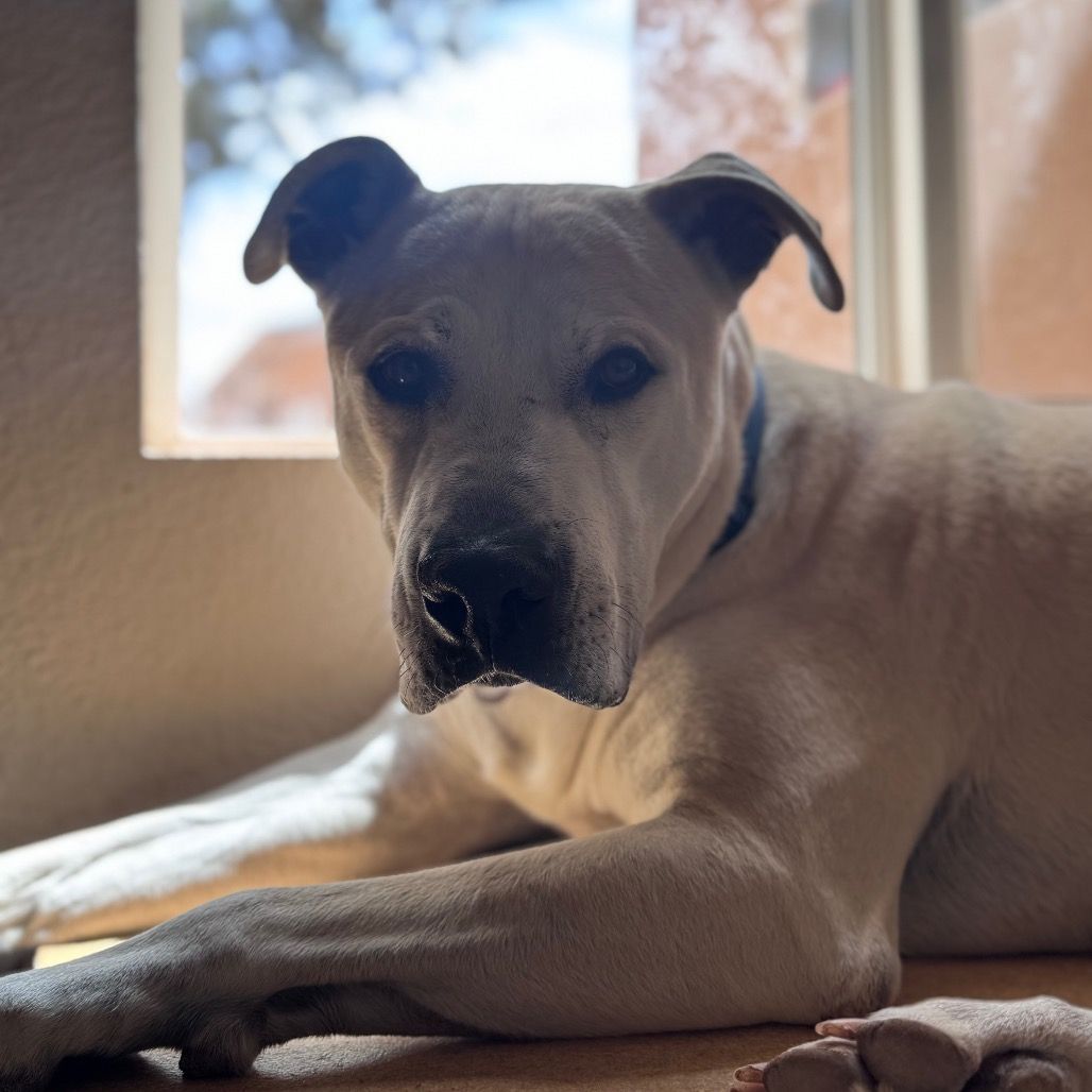 Main image 7