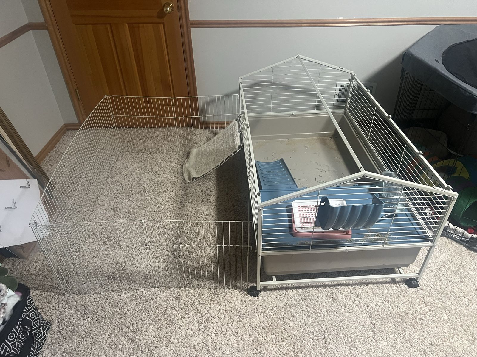 Small animal cage.  Bunny, hamster, guinea pig.