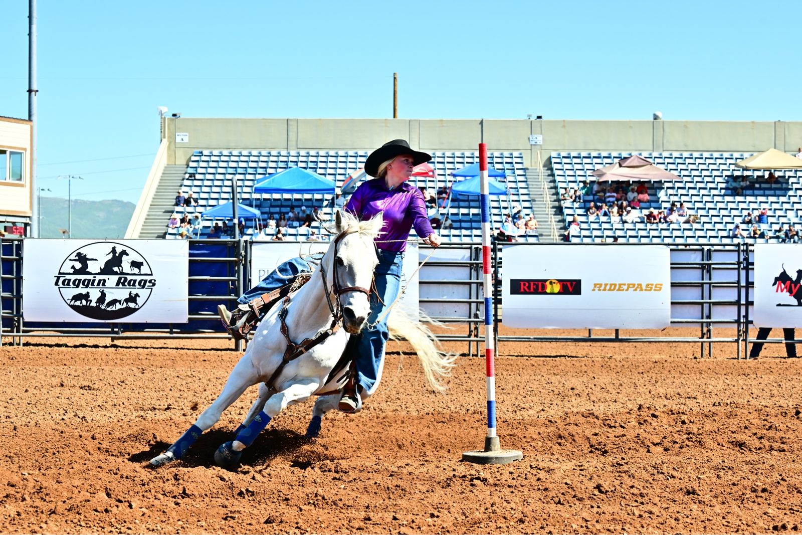 All Around Rodeo Horse