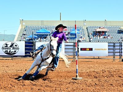 All Around Rodeo Horse