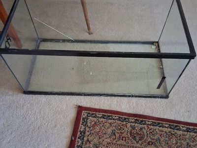 Reptile tank