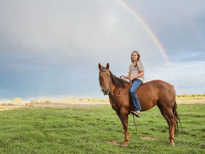 GSW Kudos to Yawl Mare